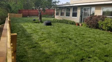 new lawn installation WB Landscape Services