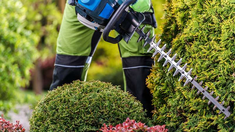 tree pruning services Pontiac, MI